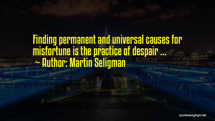 Martin Seligman Quotes 1216588