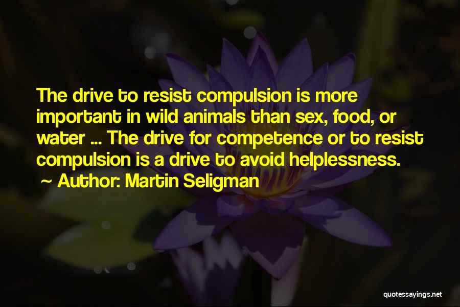 Martin Seligman Quotes 220524