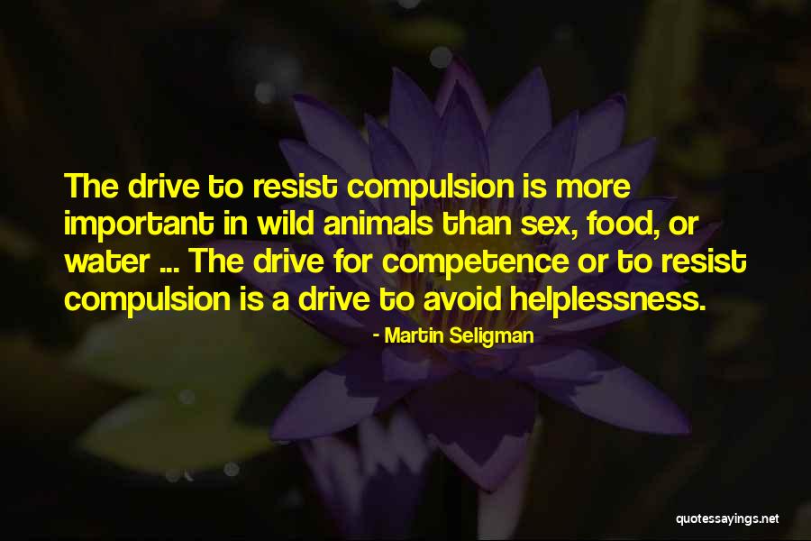 Martin Seligman Quotes 220524