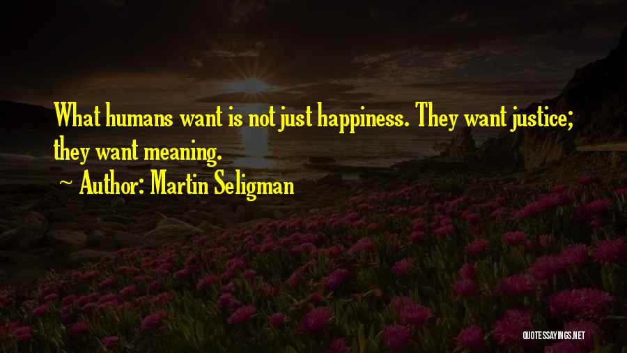 Martin Seligman Quotes 767660
