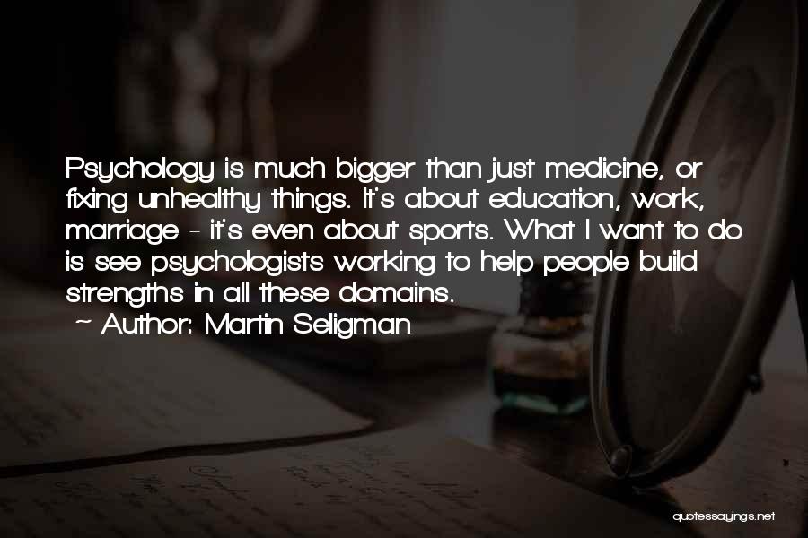 Martin Seligman Quotes 814071