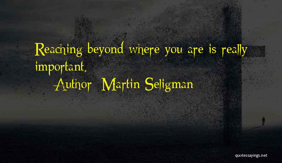 Martin Seligman Quotes 883898