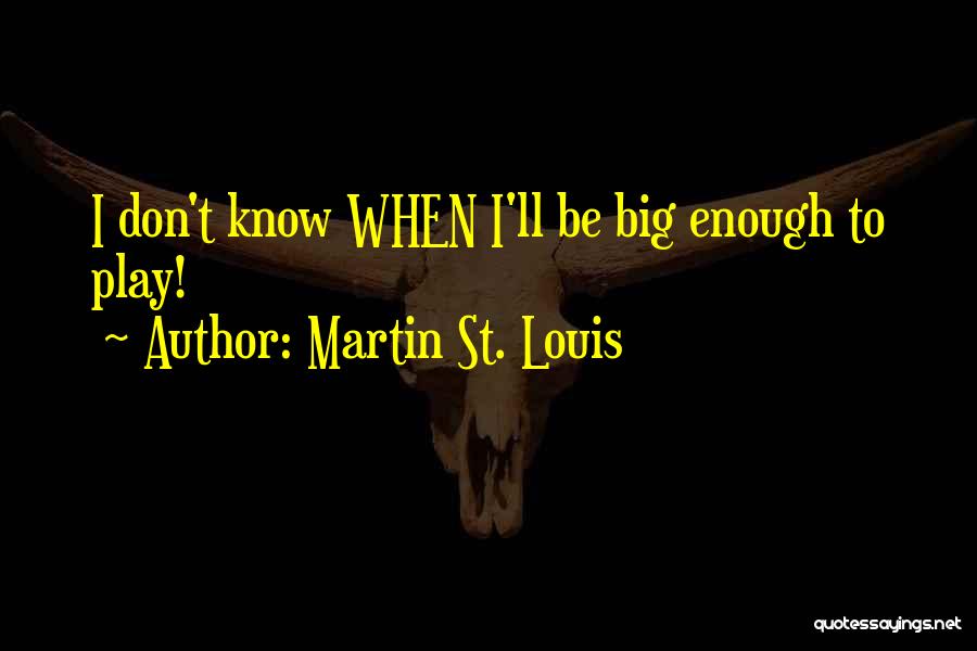 Martin St. Louis Quotes 1256844