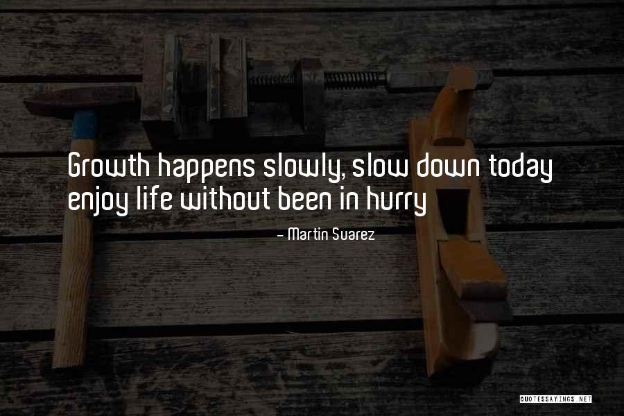 Martin Suarez Quotes 2055890 Martin Suarez Quotes 2055890