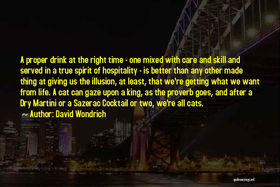 Martini Cocktail Quotes By David Wondrich