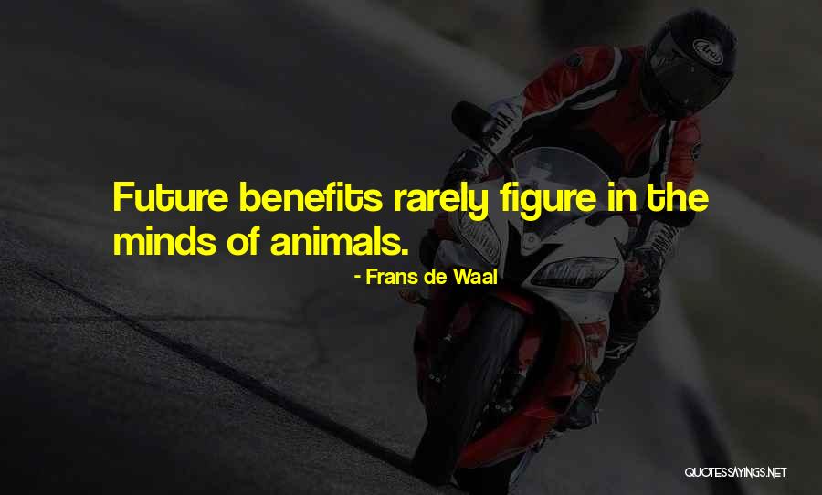 Martinsen Vet Quotes By Frans De Waal Martinsen Vet Quotes By Frans De Waal