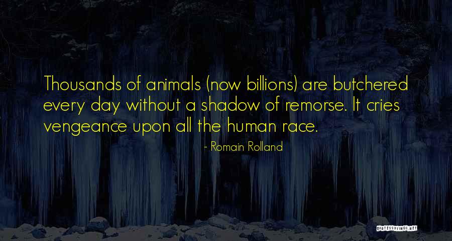 Martinsen Vet Quotes By Romain Rolland Martinsen Vet Quotes By Romain Rolland