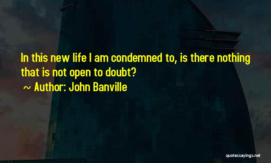 Martlewood Quotes By John Banville