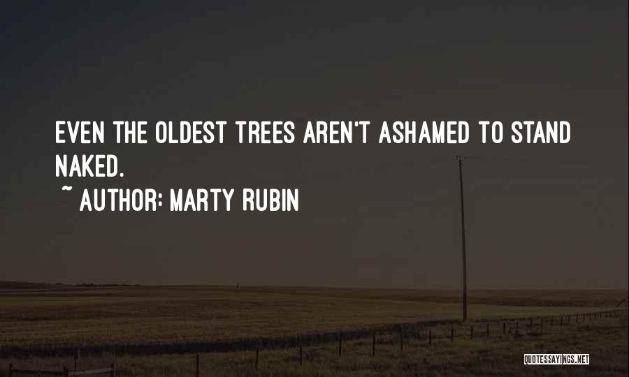 Marty Rubin Quotes 2263176