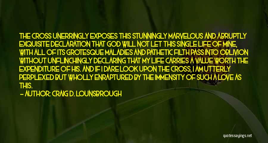 Marvelous God Quotes By Craig D. Lounsbrough