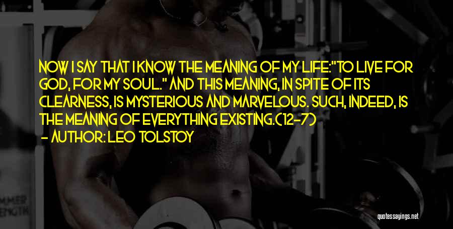 Marvelous God Quotes By Leo Tolstoy