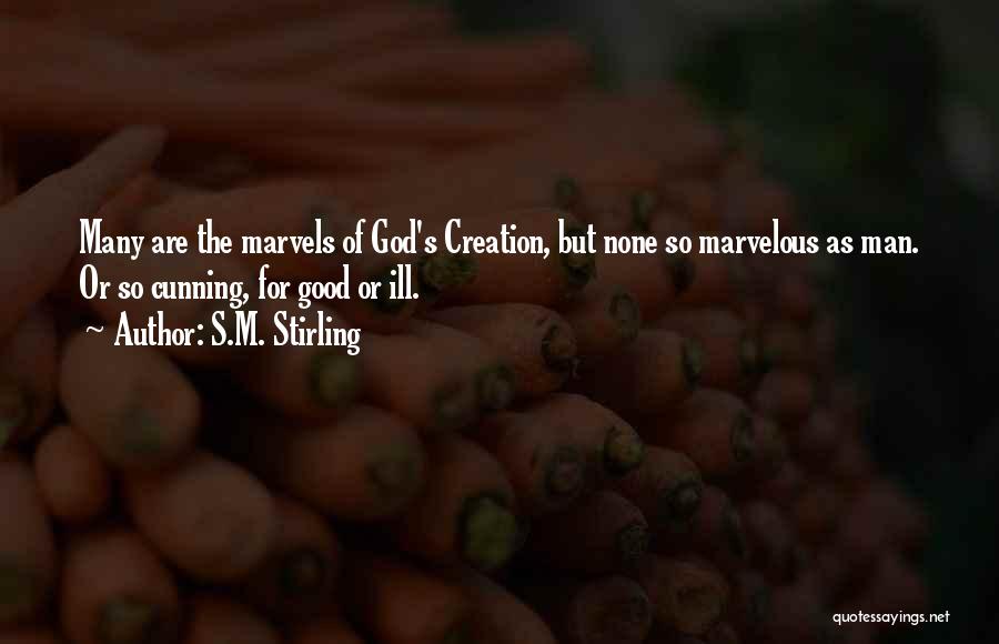 Marvelous God Quotes By S.M. Stirling