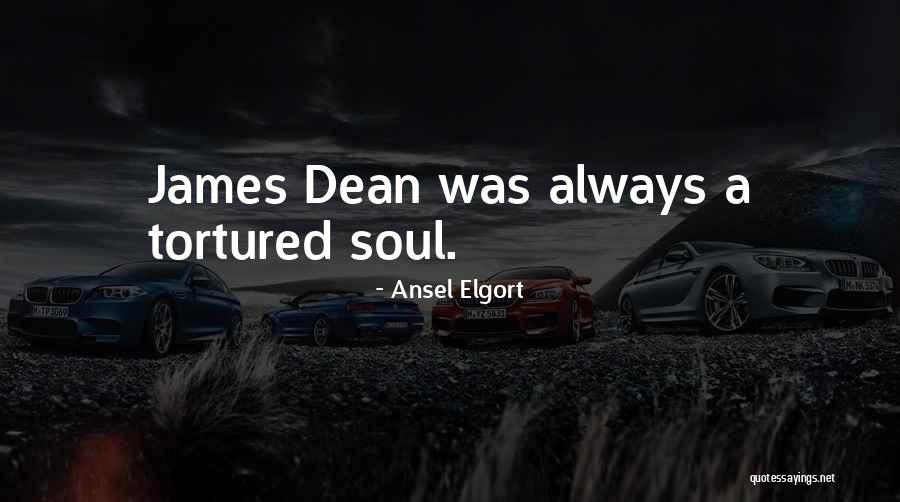 Marvena Rush Wall Quotes By Ansel Elgort Marvena Rush Wall Quotes By Ansel Elgort