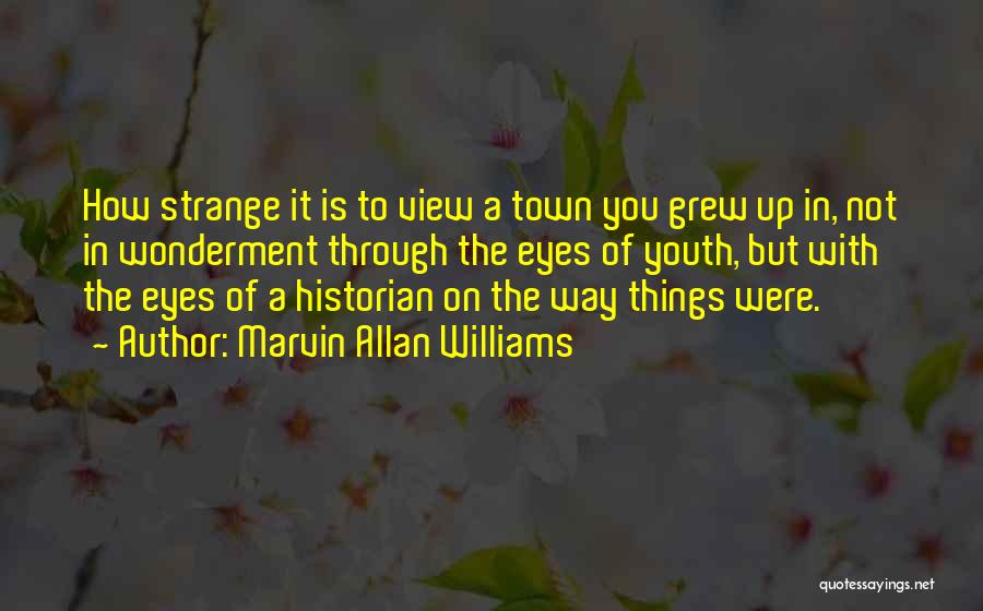 Marvin Allan Williams Quotes 1697547