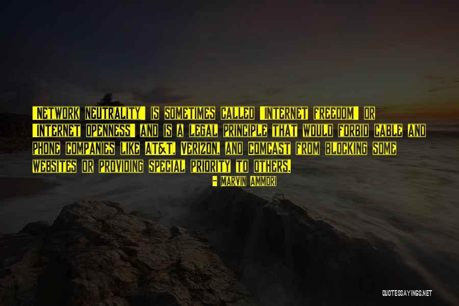 Marvin Ammori Quotes 110213 Marvin Ammori Quotes 110213