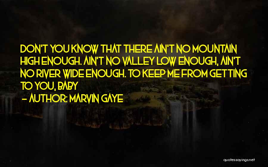 Marvin Gaye Quotes 1607581