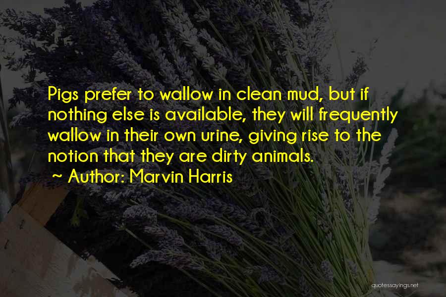 Marvin Harris Quotes 1761200