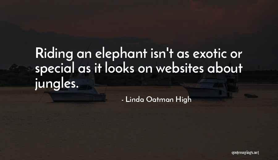 Marwari Wedding Quotes By Linda Oatman High Marwari Wedding Quotes By Linda Oatman High