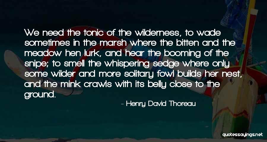 Marwell Cambria Quotes By Henry David Thoreau Marwell Cambria Quotes By Henry David Thoreau