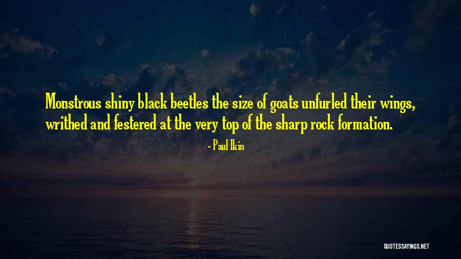 Marwitz Sunglasses Quotes By Paul Ikin Marwitz Sunglasses Quotes By Paul Ikin