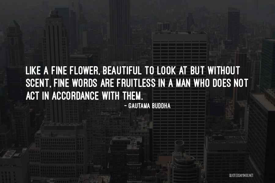 Marx Brothers Duck Soup Quotes By Gautama Buddha Marx Brothers Duck Soup Quotes By Gautama Buddha