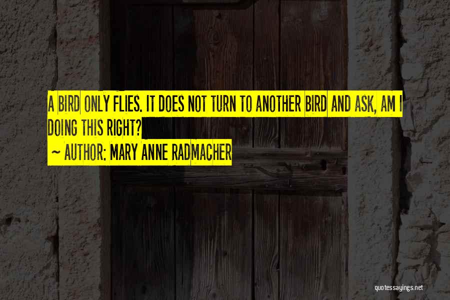 Mary Anne Radmacher Quotes 1033433