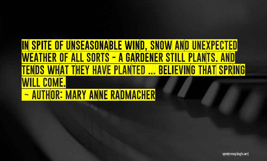 Mary Anne Radmacher Quotes 739477