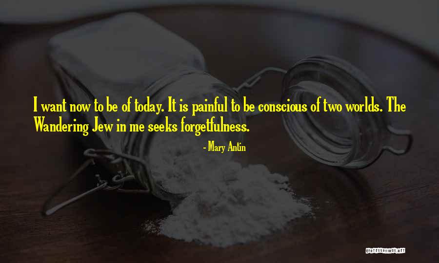 Mary Antin Quotes 838125 Mary Antin Quotes 838125
