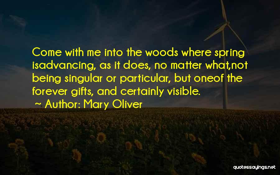 Mary As Mother Quotes By Mary Oliver