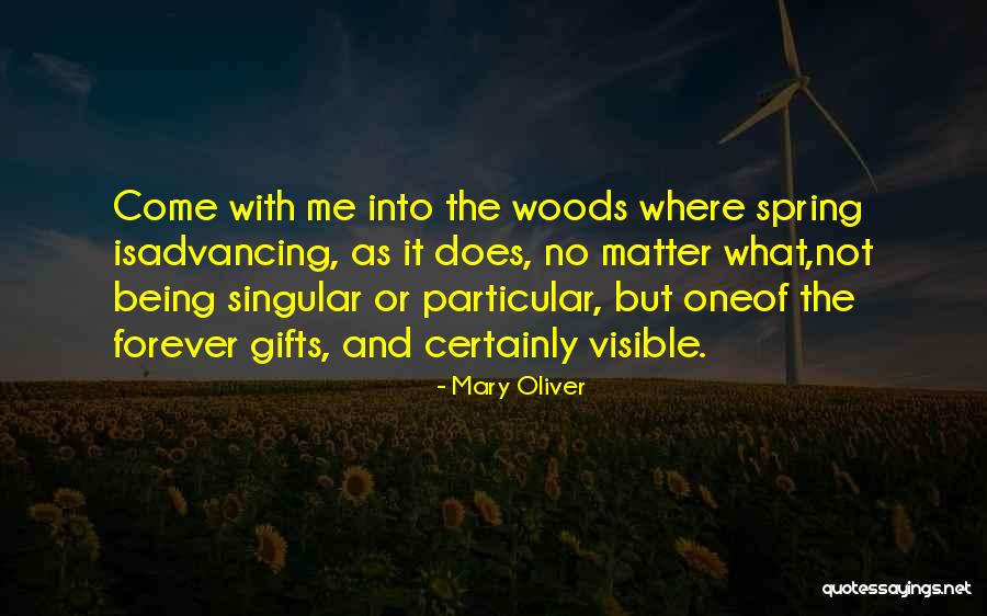 Mary As Mother Quotes By Mary Oliver