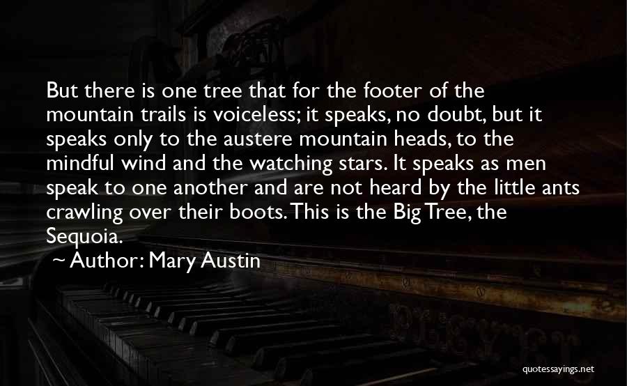 Mary Austin Quotes 177262