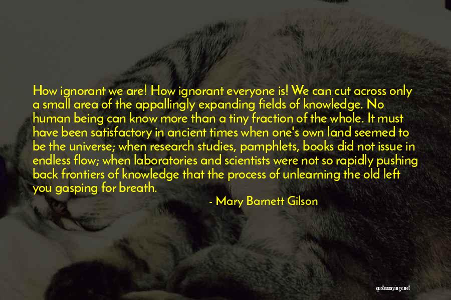 Mary Barnett Gilson Quotes 1650392