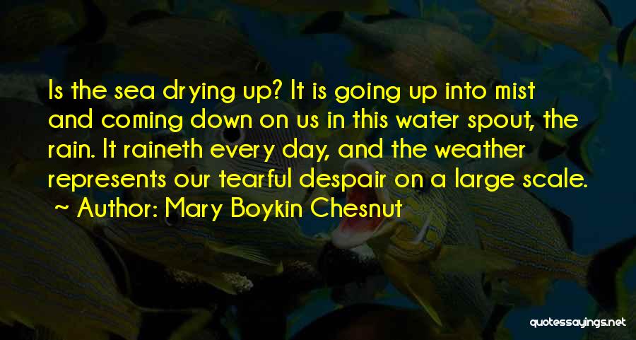 Mary Boykin Chesnut Quotes 1085102