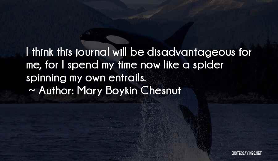 Mary Boykin Chesnut Quotes 263745