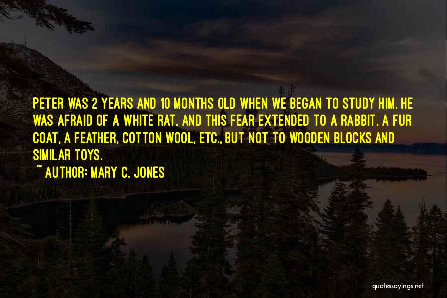 Mary C. Jones Quotes 943112