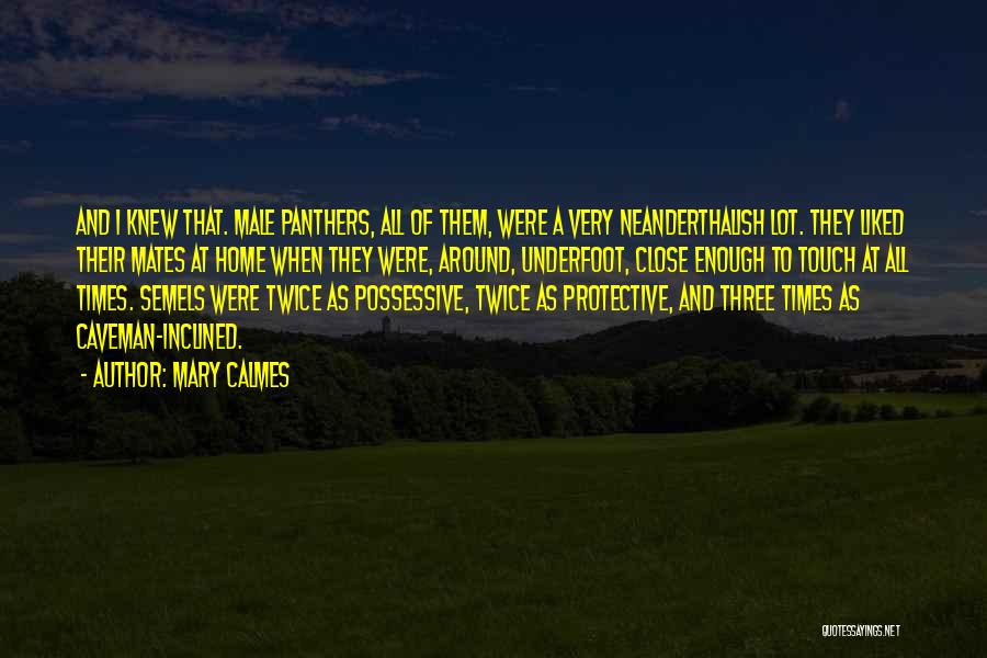 Mary Calmes Quotes 1818743