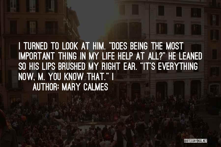 Mary Calmes Quotes 599772