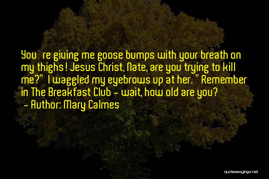 Mary Calmes Quotes 726909