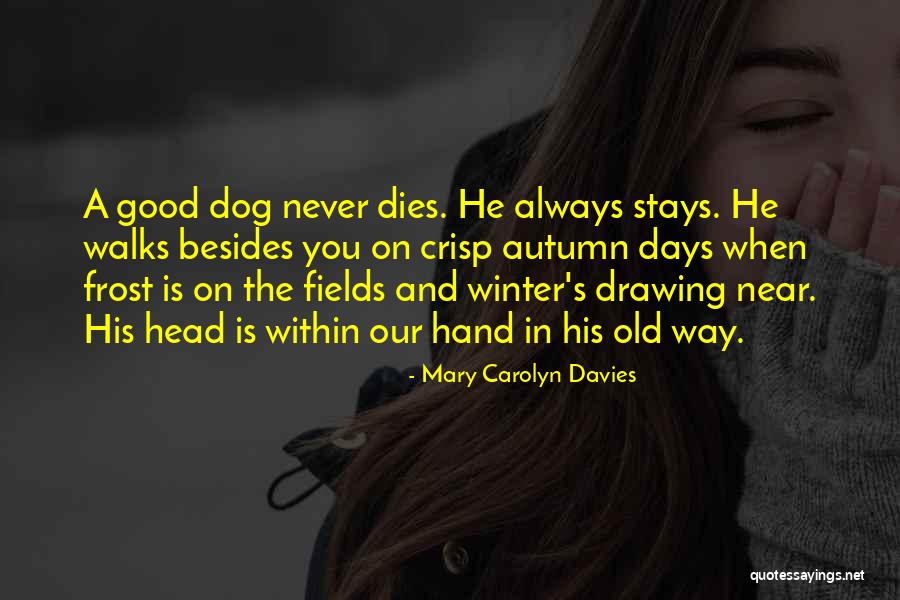 Mary Carolyn Davies Quotes 159961