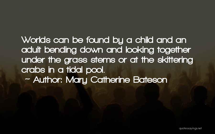 Mary Catherine Bateson Quotes 2083275