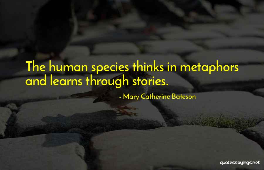 Mary Catherine Bateson Quotes 973136