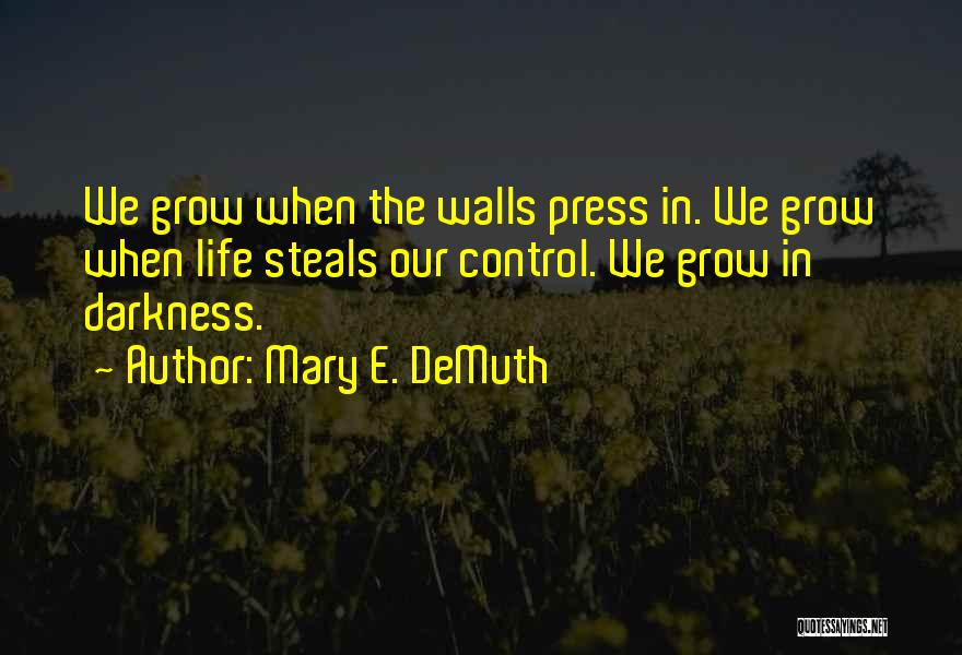 Mary E. DeMuth Quotes 1197017