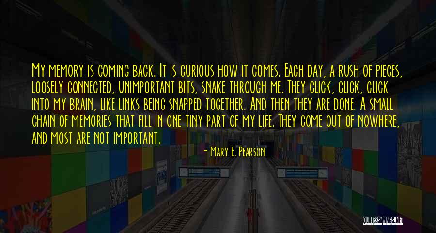 Mary E. Pearson Quotes 109736