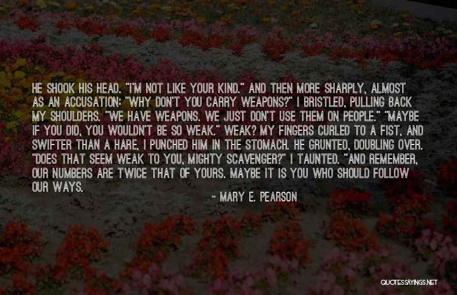 Mary E. Pearson Quotes 1360351