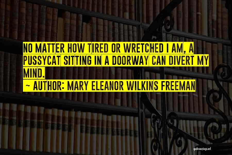 Mary Eleanor Wilkins Freeman Quotes 902121