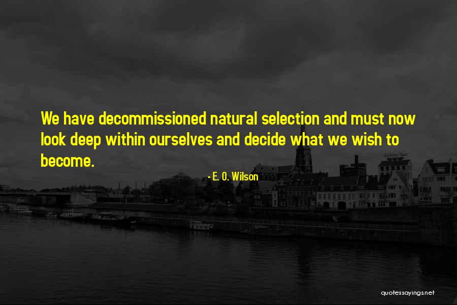 Mary Elizabeth Perks Quotes By E. O. Wilson Mary Elizabeth Perks Quotes By E. O. Wilson