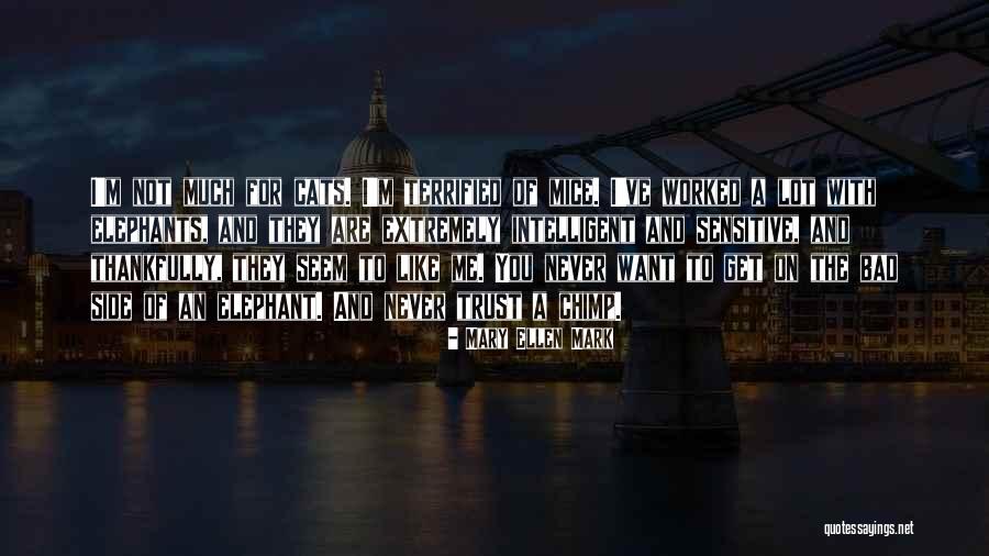 Mary Ellen Mark Quotes 1639736 Mary Ellen Mark Quotes 1639736