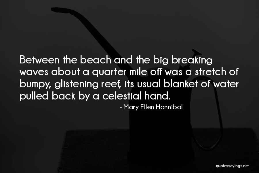 Mary Ellen Quotes By Mary Ellen Hannibal