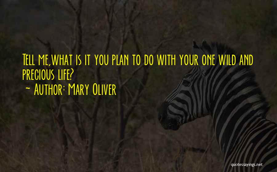 Mary From Precious Quotes By Mary Oliver