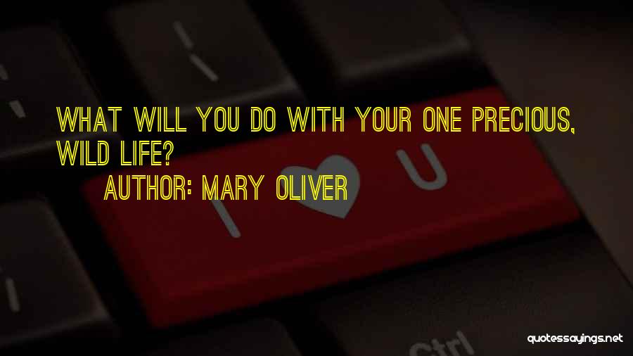 Mary From Precious Quotes By Mary Oliver